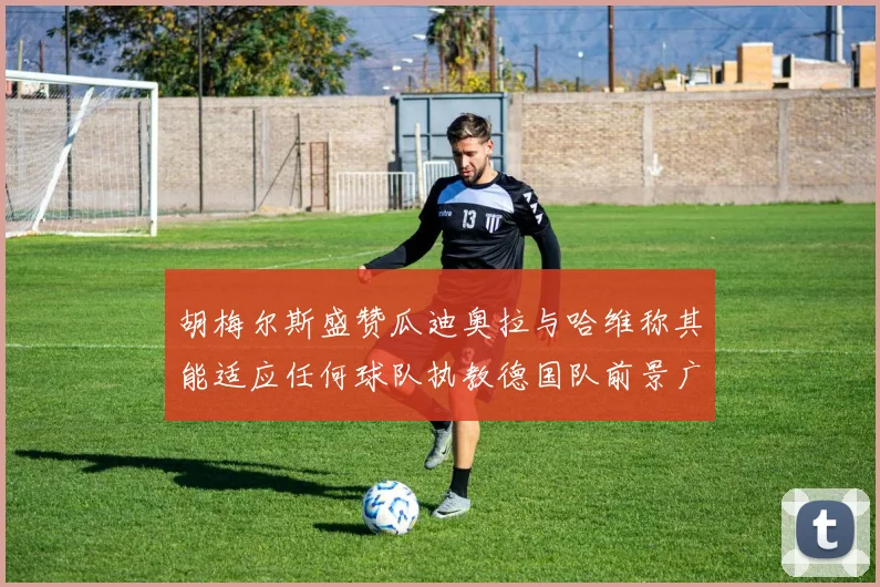 胡梅尔斯盛赞瓜迪奥拉与哈维称其能适应任何球队执教德国队前景广阔
